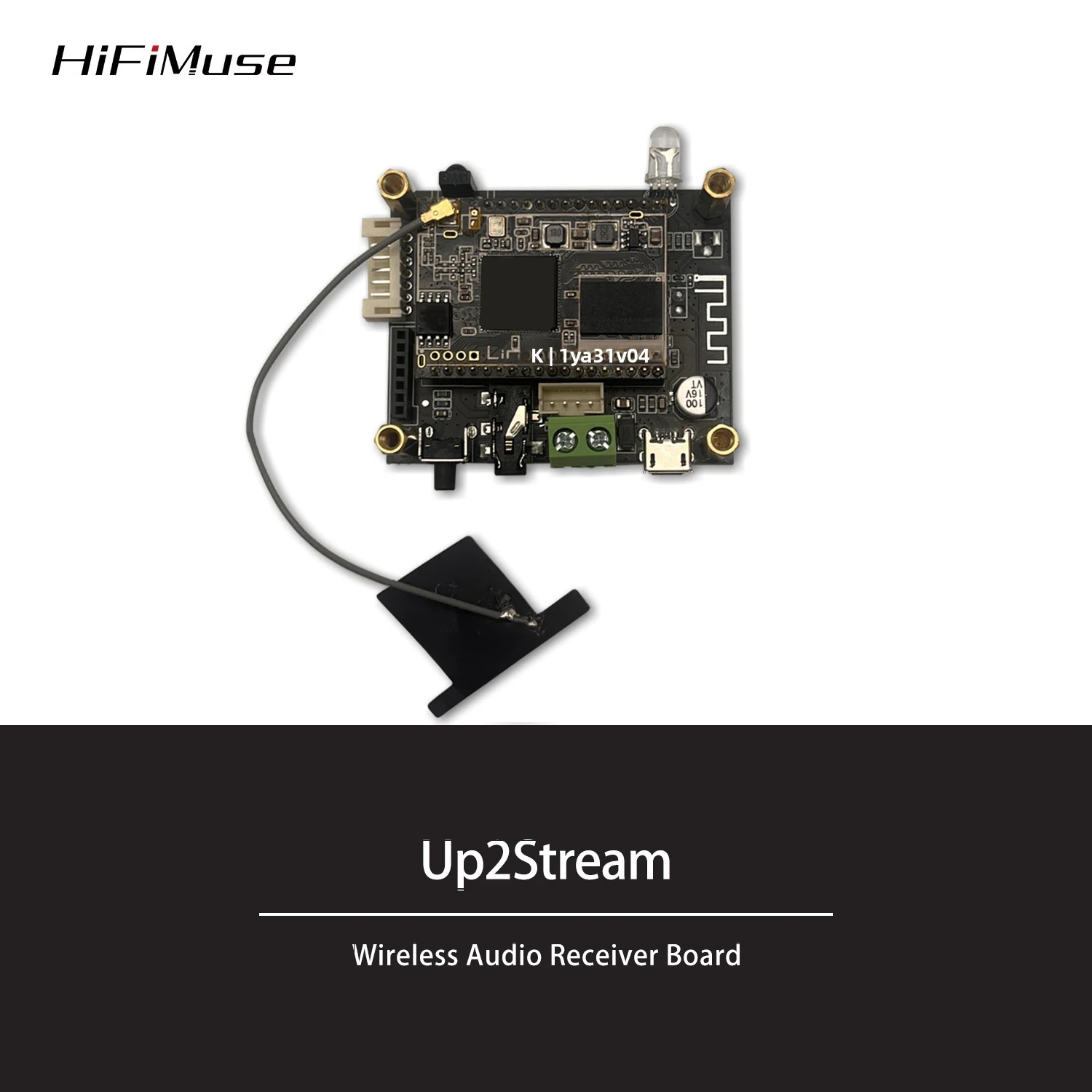D10 WiFi and Bluetooth 5.0 Aud - огляд і ціна Microphone Module